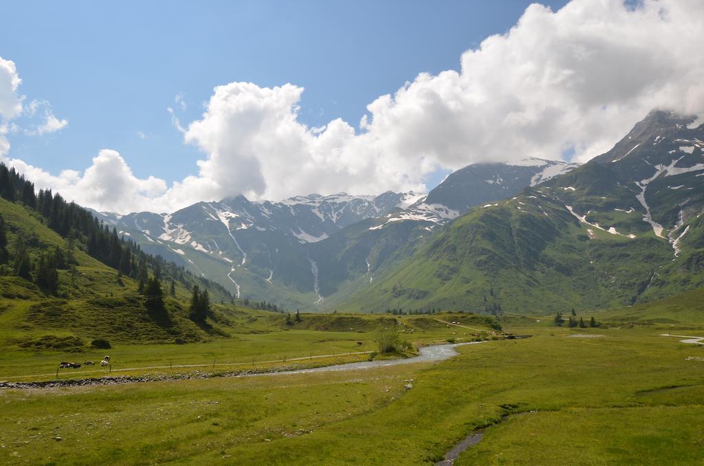 Winklers Gipfelblick Chalet, Inklusive Alpentherme - Ganzjaehrig, Gasteiner Bergbahn - Nur Sommer Bad Hofgastein Eksteriør billede